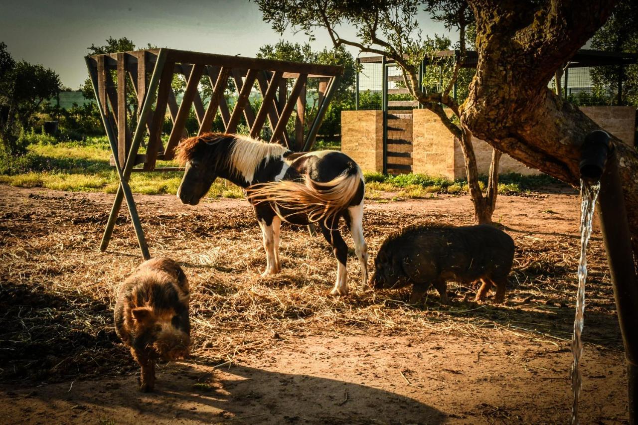 Tenuta Corano Nardò Dış mekan fotoğraf