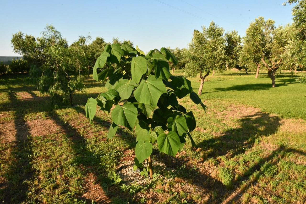 Tenuta Corano Nardo Villa Dış mekan fotoğraf