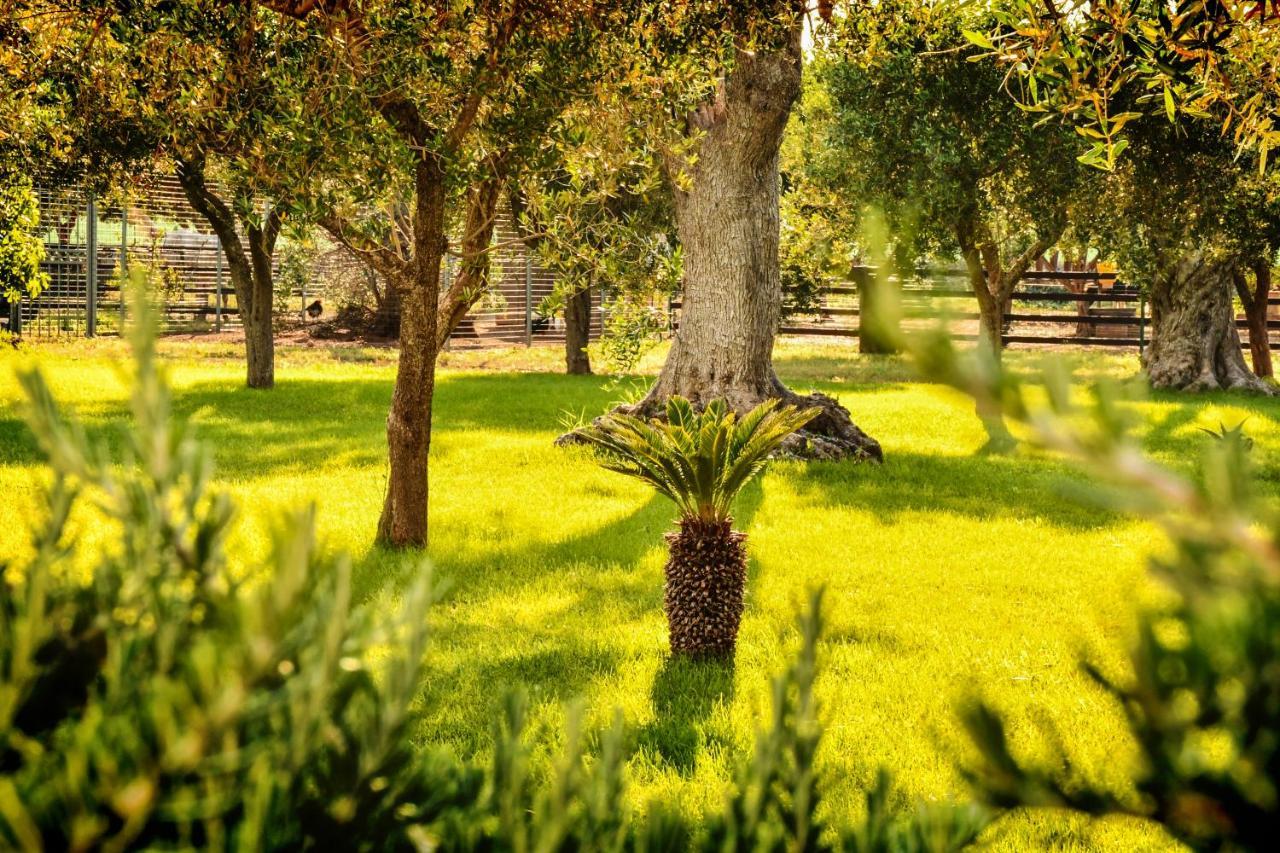 Tenuta Corano Nardo Villa Dış mekan fotoğraf